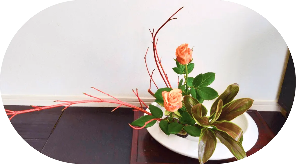生け花の画像