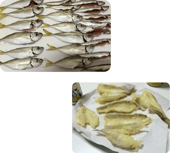 釣りの画像