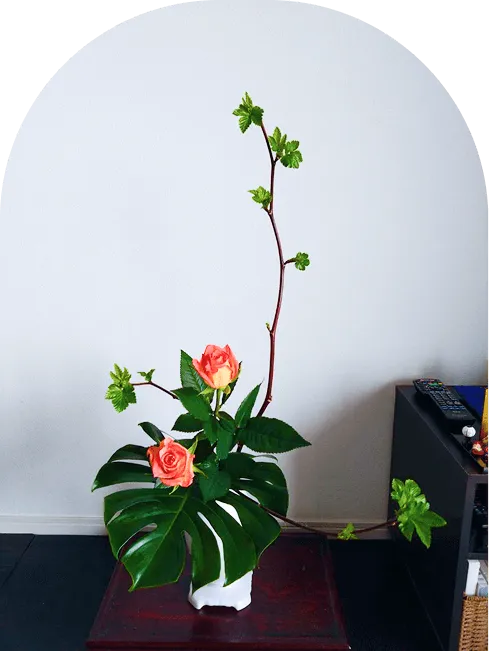 生け花の画像